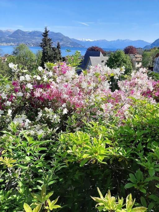 La Finestra Sul Lago - In Villa Con Vista E Posto Auto Coperto Stresa Bagian luar foto